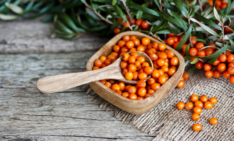 bacche di olivello spinoso