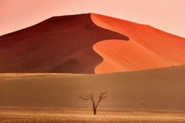 Il deserto della Namibia