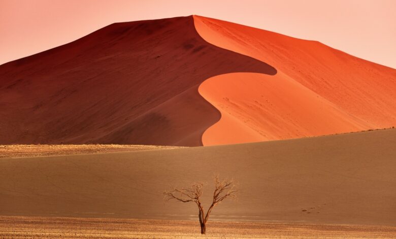 Il deserto della Namibia
