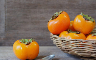 Guida ai cachi, scopriamo tutte le proprietà, indicazioni e ricette con questi frutti