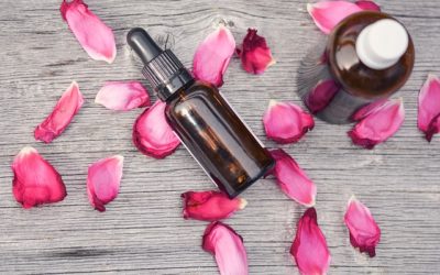 Olio di rosa mosqueta: proprietà e utilizzi