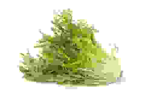 scarola