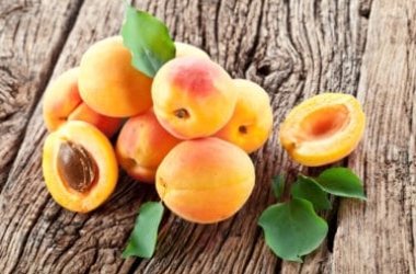 Tutto sull’albicocca, uno dei frutti principali dell’estate