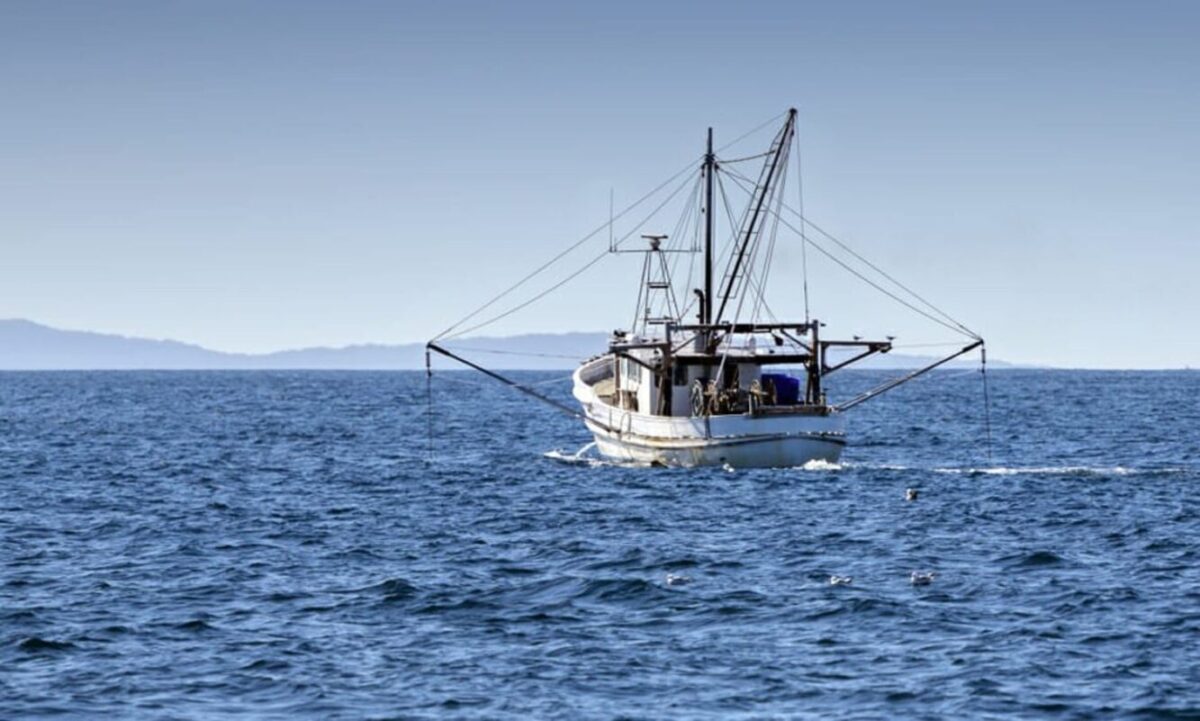 Lo sfruttamento delle risorse ittiche