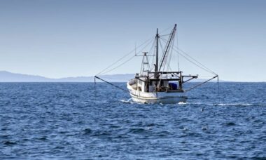 Maxi sfruttamento delle risorse ittiche: ecco perché i pesci non ci sono più