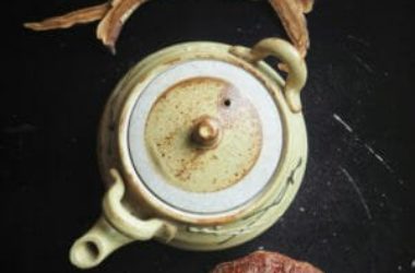 Le virtù del Ganoderma o Reishi nero, noto in Oriente come il “fungo dell’immortalità”