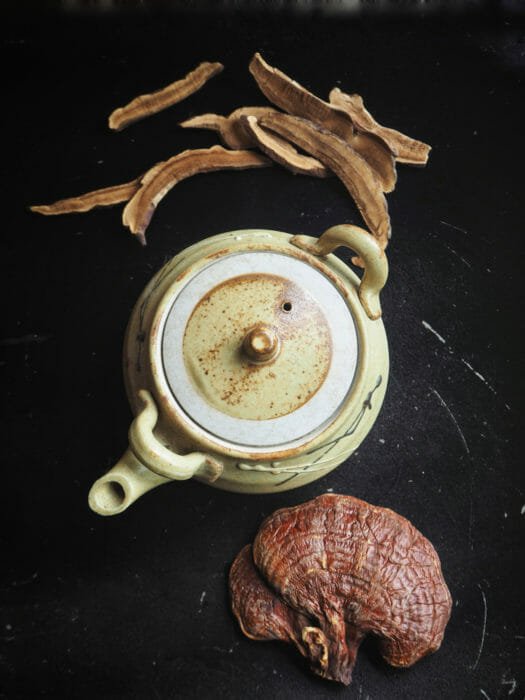 ganoderma reishi nero