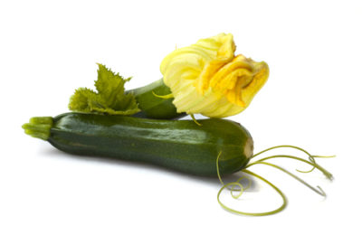 Guida alle zucchine, tutti i benefici e le proprietà ed i loro utilizzi in cucina con tante ricette