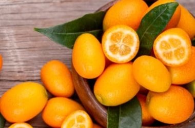 Propriétés et bienfaits du kumquat, également connu sous le nom de mandarine chinoise