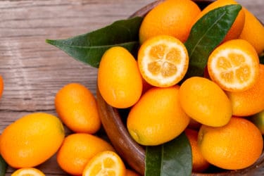 Proprietà e benefici del kumquat, noto anche come mandarino cinese