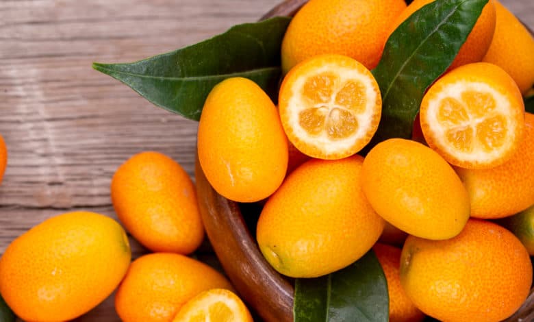 kumquat