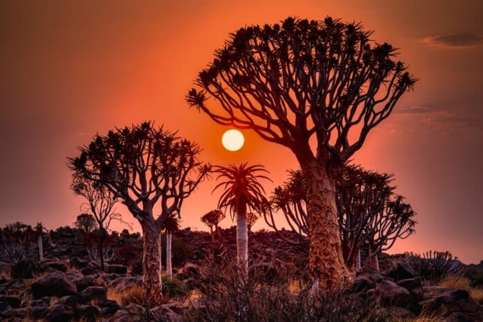 Il deserto della Namibia