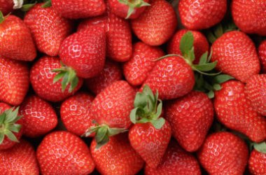 10 alimenti che aiutano le difese immunitarie