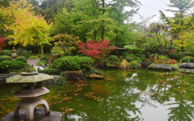 Il giardino giapponese zen : alcune informazioni di base tuttogreen Giardini giapponesi in italia