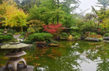 Giardino giapponese zen: cos’è e come si crea