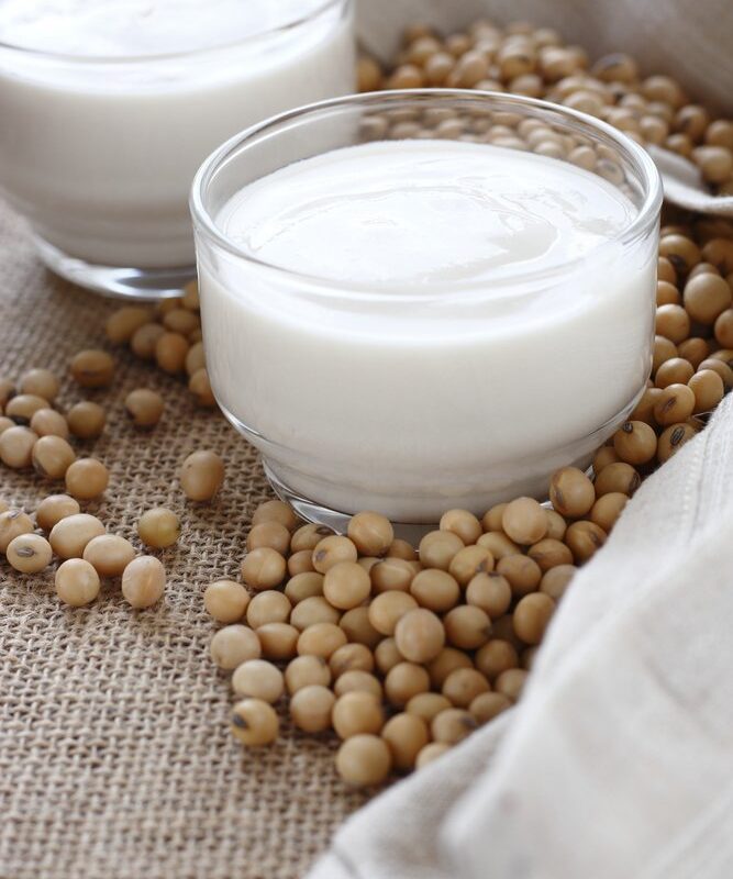 yogurt di soia