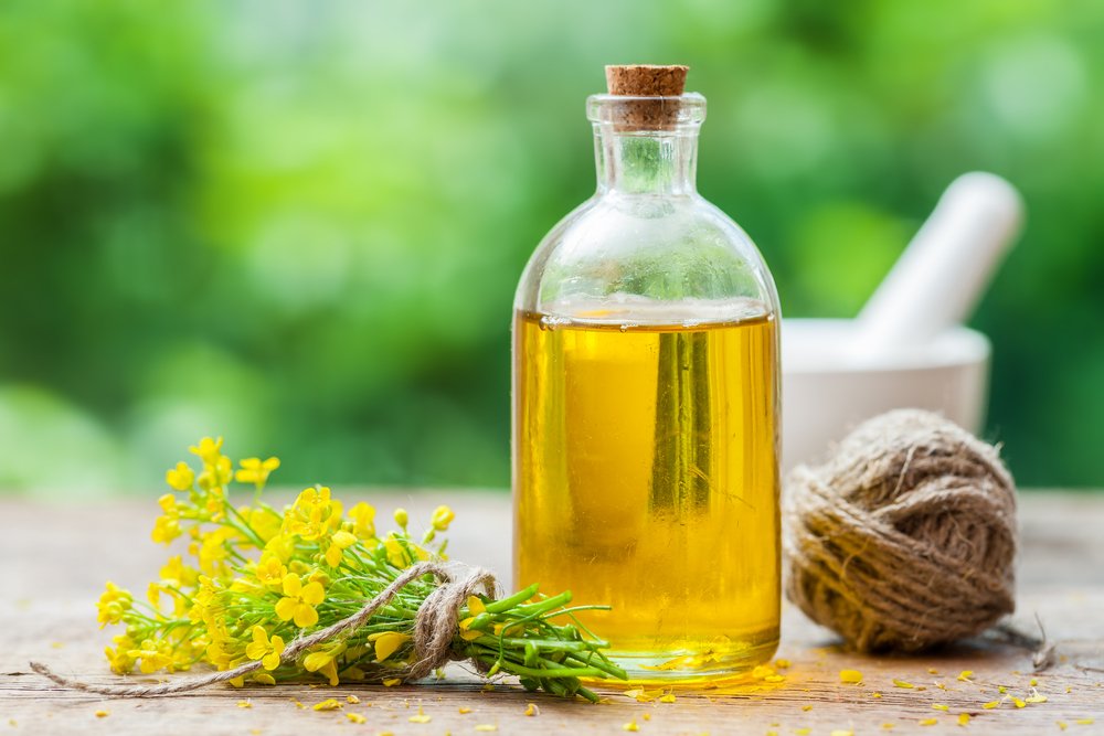 Olio di canola da dove si ottiene e proprietà nutrizionali