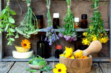 Come essiccare la lavanda: la guida pratica