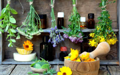 Come essiccare la lavanda: la guida pratica