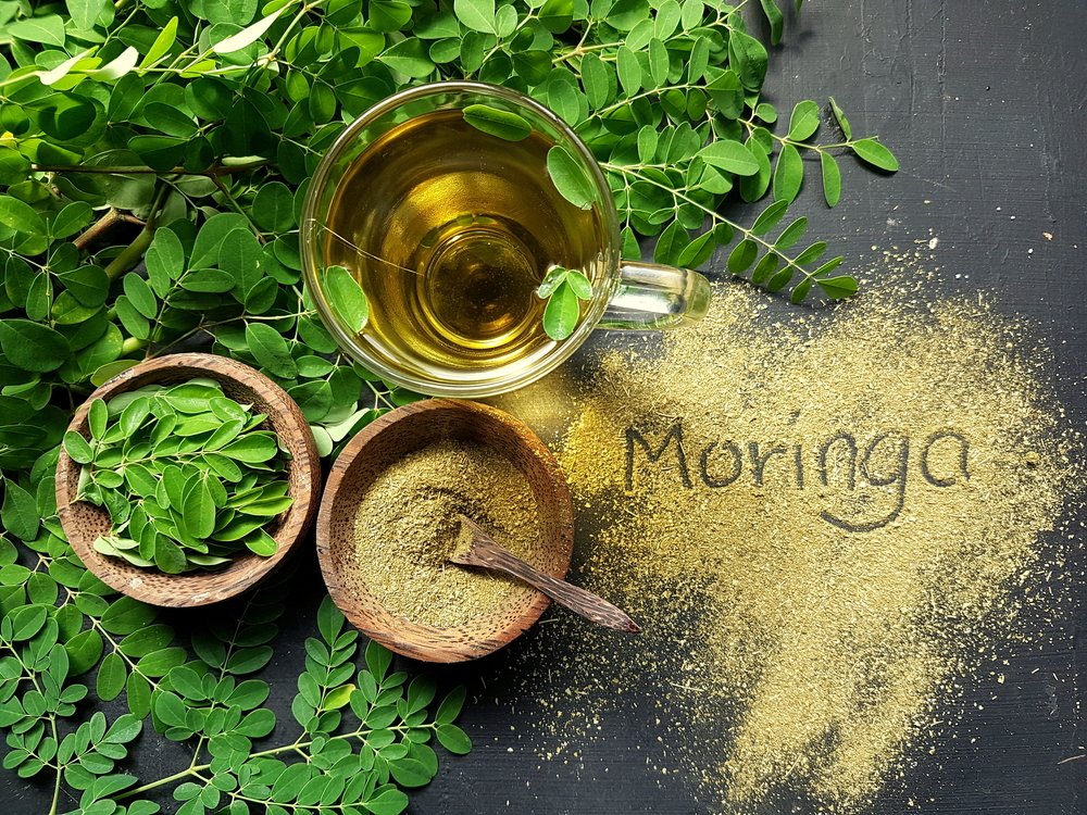 I Benefici Della Moringa Oleifera L’albero Della Vita - Erbe Di Mauro - Foto 3