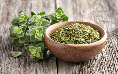 Origano: proprietà, benefici e cose da sapere