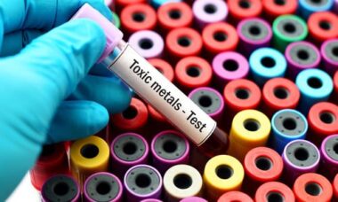 Quali sono i rischi di una intossicazione da mercurio e come proteggersi