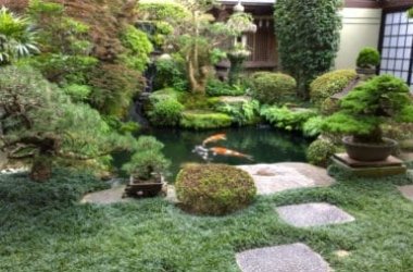 À la découverte du jardin zen japonais: qu'est-ce que c'est et comment il est créé