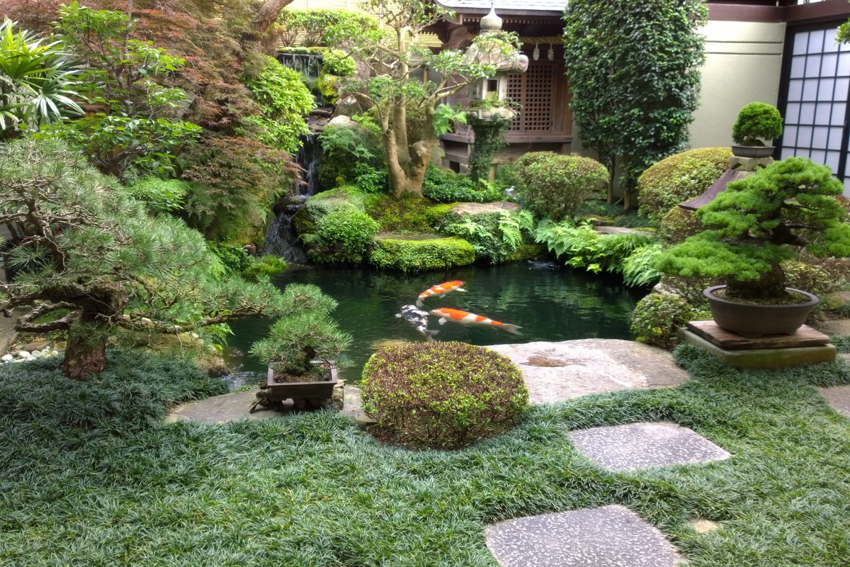 Giardino giapponese zen, come farlo i suggerimenti degli esperti