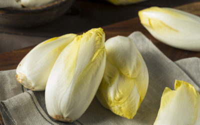 Indivia belga: un alimento ricco di proprietà benefiche