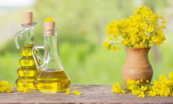 Olio di canola: da dove si ottiene e proprietà nutrizionali