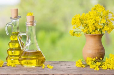 Olio di canola: da dove si ottiene e proprietà nutrizionali