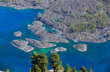 Alga Klamath: benefici, caratteristiche distintive e utilizzi