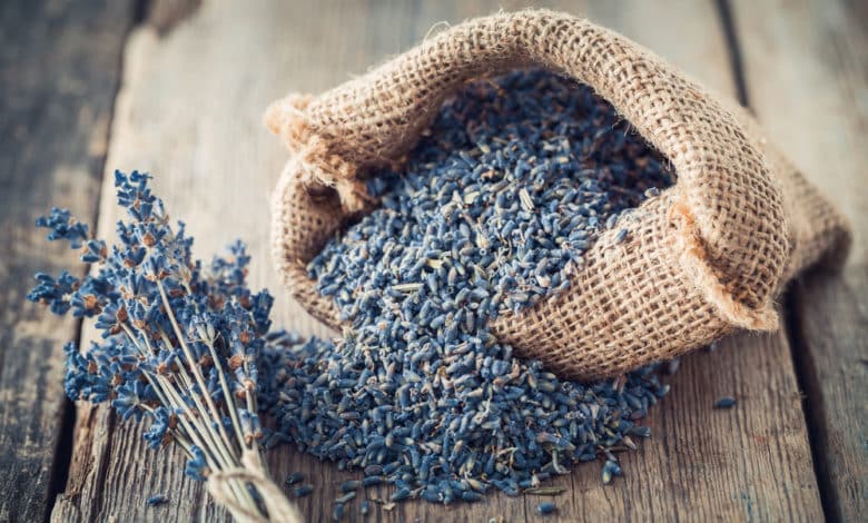 come essiccare la lavanda