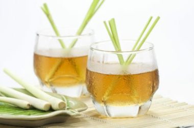La citronella, la pianta anti-zanzare per eccellenza che possiamo usare anche in cucina