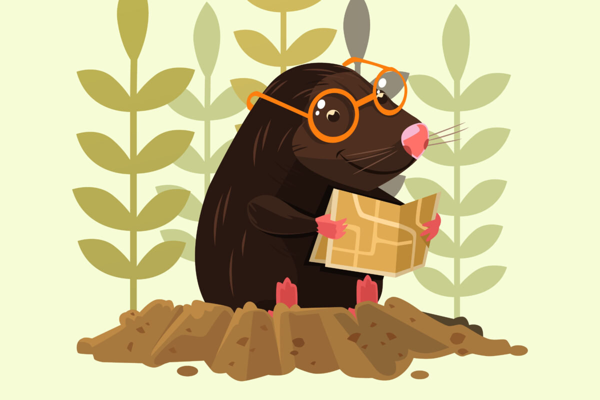 come allontanare le talpe dal giardino