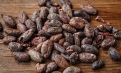 Cacao: storia, valori nutrizionali e proprietà