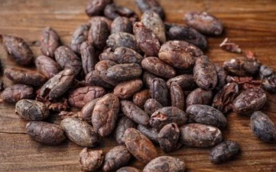 Cacao: storia, valori nutrizionali e proprietà