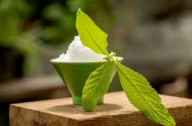 Guida alle proprietà della canfora con tutti gli utilizzi e le possibili controindicazioni