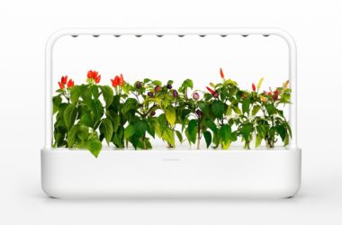 Click And Grow: basta un click e la pianta cresce