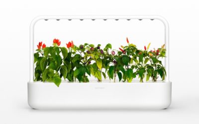 Click And Grow: basta un click e la pianta cresce