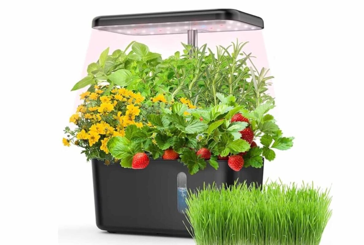 Consigli per la coltivazione indoor