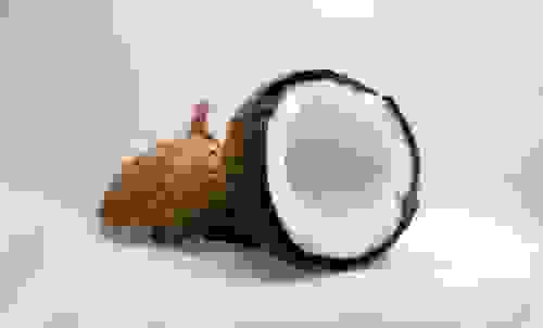 noce di cocco