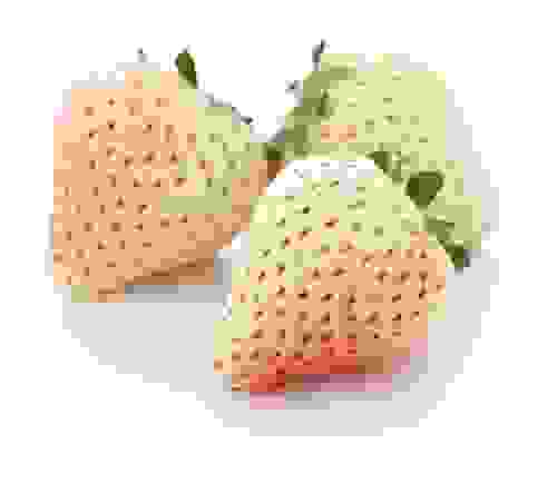 pineberry