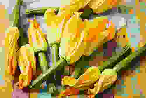 Ricetta dei fiori di zucchina ripieni di ricotta