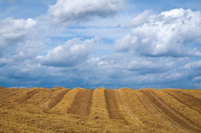 terreno per semina