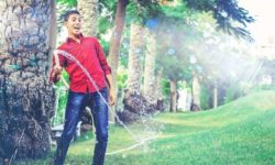 Giardiniere: mansioni, competenze e sbocchi professionali