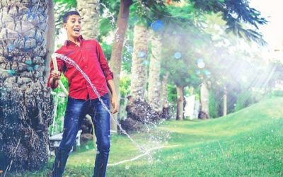 Giardiniere: mansioni, competenze e sbocchi professionali