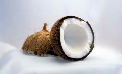 noce di cocco