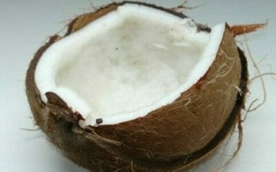Noce di cocco: come aprirla, proprietà benefiche e controindicazioni