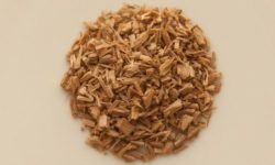 Sandalo: caratteristiche della pianta e proprietà dell’olio essenziale